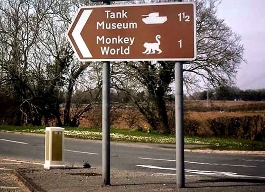 tank museum monkey world.jpg